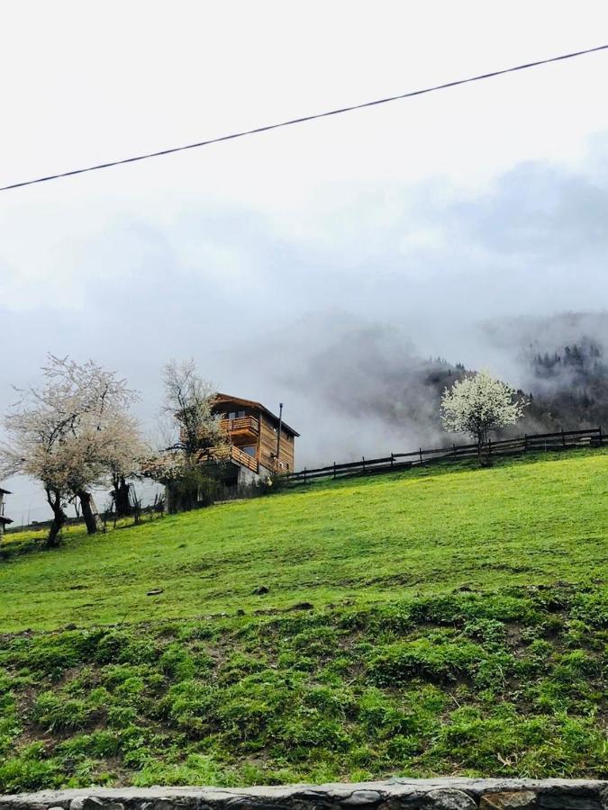 Villa Dabderr ميستيا المظهر الخارجي الصورة