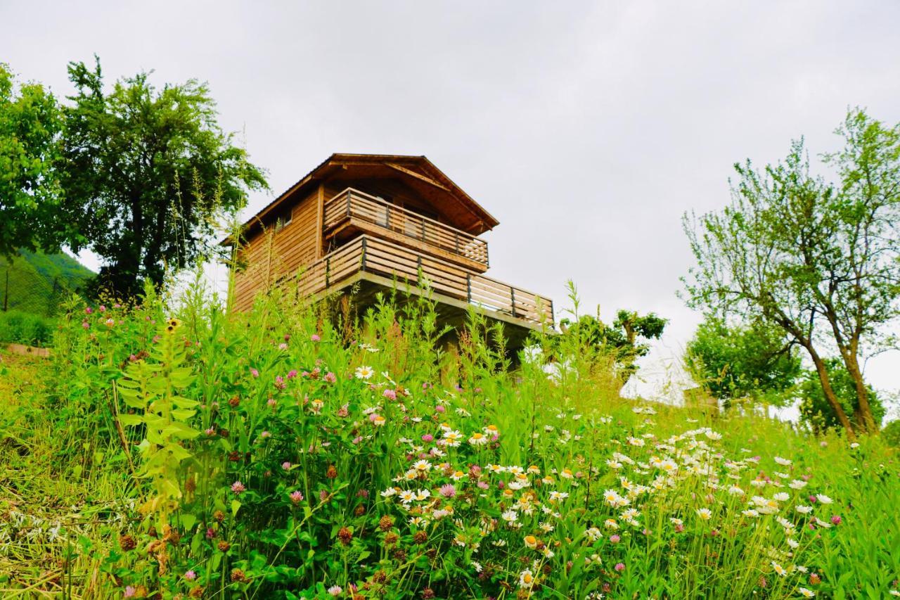 Villa Dabderr ميستيا المظهر الخارجي الصورة